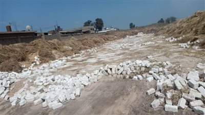  جهود مكثفة بالدقهلية للتصدى للبناء المخالف والتعديات على الأراضى الزراعية