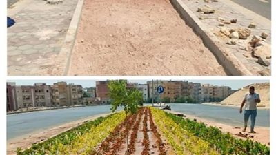 جهاز العبور تشجير شوارع المدينة 