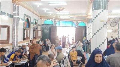 الكشف على  548 مريضاً  فى قافلة علاجية بقرية أبو داهش بالدقهلية