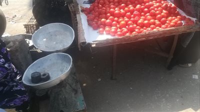 أسعار الخضار والفاكهة بالفيوم اليوم الأحد