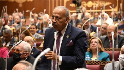 النائب هاني العسال: مناقشات الحوار الوطني تمنح قبلة حياة جديدة للأحزاب