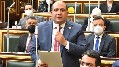 برلماني: الإشادة الأممية بمنتدى شباب العالم بشرم الشيخ تقدير كبير لمصر