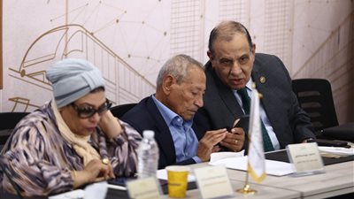 الحوار الوطني.. أستاذ قانون دستوري: نتمنى أن نرى ممثلين الأحزاب السياسية في التشكيلات الوزارية