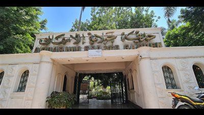 حقيقة قطع الأشجار النادرة والمعمرة في حديقة الأسماك بالزمالك