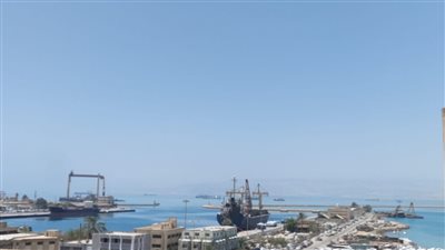 تداول  530 شاحنة خضروات وفواكه بموانئ البحر الاحمر 