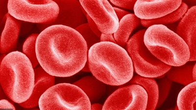 أنيميا الفول.. أسباب وأعراض الإصابة وطرق الوقاية