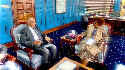 سويلم يلتقى وزيرة المياه والصرف الصحي الكينية لمناقشة تعزيز التعاون بين البلدين