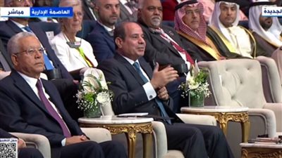 السيسي: مصر مستعدة لتنظيم مؤتمر السكان بشكل سنوي