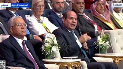 السيسي: التغيير ليس بالثورات مصر خسرت 400 مليار دولار في 2011