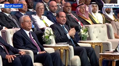 السيسي: حرية الإنجاب دون تنظيم قد تسبب كارثة للبلد