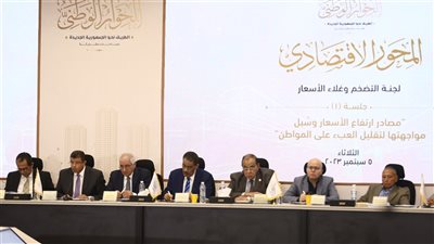 رائد سلامة: معيار التصارع في التضخم متعدد