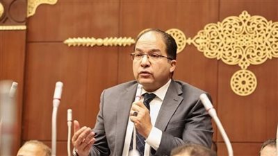 عادل اللمعي: 