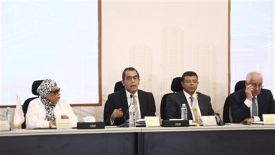 فاطمة السيد أحمد تطالب بتقليل العبء عن المواطن