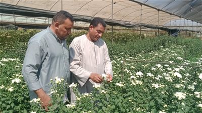 بالصور .. الوفد داخل مملكة الزهور بالقناطر الخيرية 