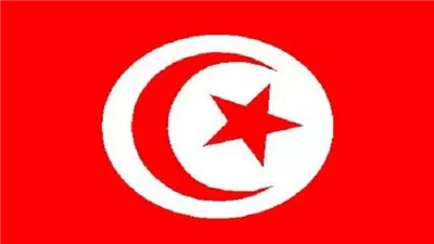 تونس تبحث مع الأمم المتحدة تعزيز التعاون في تنفيذ البرامج التنموية