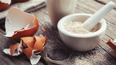 أكل قشر البيض يحمي من مرض خطير مستقبلًا.. ولكن احذر بكتيريا السالمونيلا 