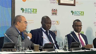 محيي الدين: تنفيذ المشروعات المرتبطة بالمعادن الحرجة في أفريقيا يتطلب شراكات أكبر