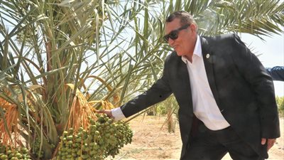 الريف المصري: نسعى لدفع وتنشيط السياحة البيئية والريفية فى مناطق وأراضى الـ ١.٥ مليون فدان