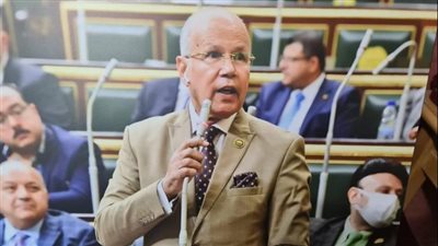 السيد شمس الدين: الرئيس السيسي وضع روشتة لمواجهة أزمة الانفجار السكاني