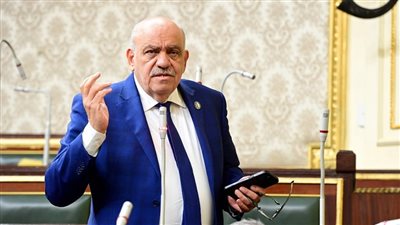 سيد حنفي: مواجهة الانفجار السكاني مسؤولية وطنية وشعبية في الوقت الراهن