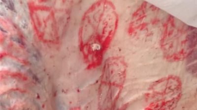 حملة تموين علي اسواق الحوم بالقليوبية 