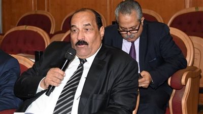 صالح سلطان: الرئيس السيسي وضع الأزمة السكانية في بؤرة الاهتمام العالمي