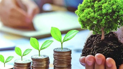 عقوبة ممارسة نشاط المشروعات الصغيرة دون ترخيص في القانون الجديد