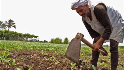 البرنامج الوطني لتعزيز مشاركة الفلاحين بالشأن العام يعيد إحياء عيد الفلاح