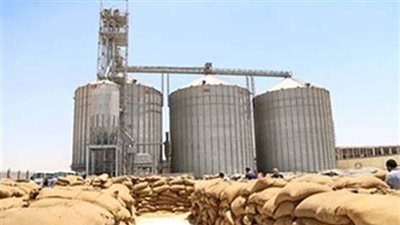 الاقتصاد الزراعي: صوامع القمح مشروع قومي لتقليل نسب الفاقد 