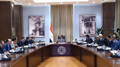 مدبولي: اتخاذ الإجراءات اللوجستية والتنظيمية التي تيسر  الانتخابات الرئاسية المقبلة 