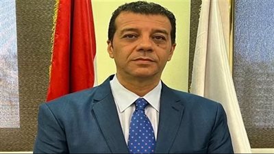 65 مليون مواطن مصري يحق لهم التصويت في انتخابات الرئاسة