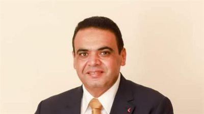 نادر الخبيري: لقاء الرئيس السيسي ووزير خارجية اليابان يستهدف تعزيز العلاقات