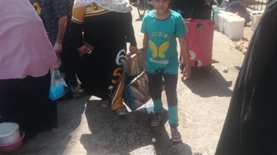 انخفاض جديد في أسعار الفراخ بالفيوم 