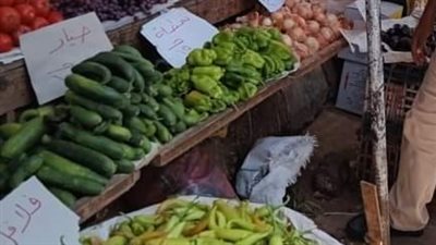 أسعار الفواكه والخضراوات بأسواق قنا اليوم الخميس