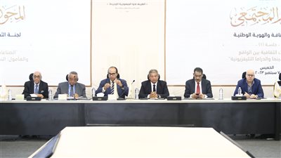 رئيس الرقابة على المصنفات يطالب بإنشاء جهاز للملكية الفكرية والتصنيف العمري