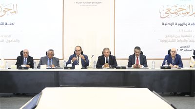 رئيس منصة watch it تطالب بتشجيع شركات الإنتاج الصغيرة ومحاربة القرصنة