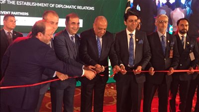 وزير قطاع الأعمال العام: مجالات عدة للتعاون الاقتصادي بين مصر وباكستان