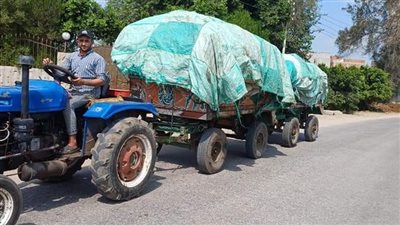 رئيس مدينة المحلة: رفع 267 طن قمامة من الشوارع 