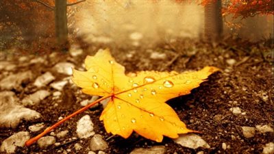 باقي 14 يومًا.. موعد انتهاء فصل الصيف وبداية الخريف