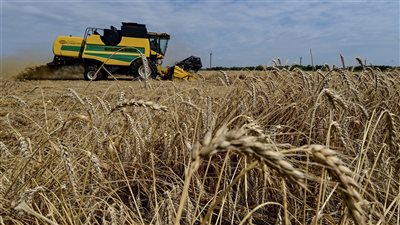 أوكرانيا ترفض تخفيف العقوبات ضد روسيا مُقابل استئناف صفقة الحبوب