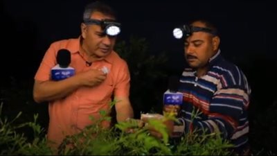  الزراعة: مصر تنتج 60% من استهلاك الياسمين في العالم (فيديو)