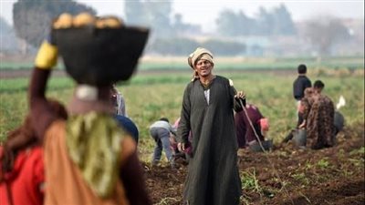 في عيد الفلاح.. مشروعات أنجزتها الدولة لخدمة المزارعين