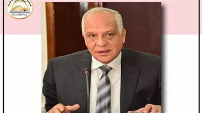 ضبط 276 طنا من السلع التموينية والغذائية في الجيزة