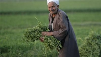 محافظ كفر الشيخ يهنئ المزارعين بعيد الفلاح المصري الـ 71 