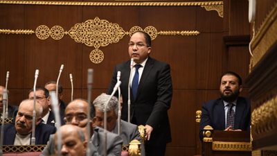 اللمعي: كلمة الرئيس بقمة العشرين قدمت رؤية متكاملة لتحديات القارة السمراء