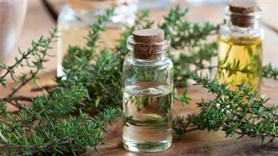 الزعتر.. كنز الطبيعة لعلاج الالتهابات وتقوية المناعة