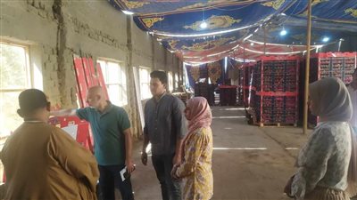 سلامة الغذاء: تنفيذ 104 مأموريات رقابية لمصانع الأغذية خلال أسبوع 