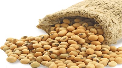 أسعار فول الصويا اليوم السبت بالأسواق المصرية