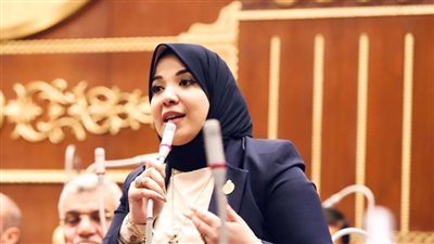  دينا هلالي: كلمة السيسي بقمة العشرين أبرزت أهمية التحرك لتعزيز العمل المناخي المشترك