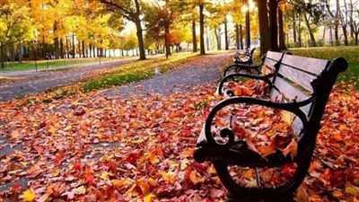 البحوث الفلكية تكشف موعد فصل الخريف رسميًا وعدد أيامه